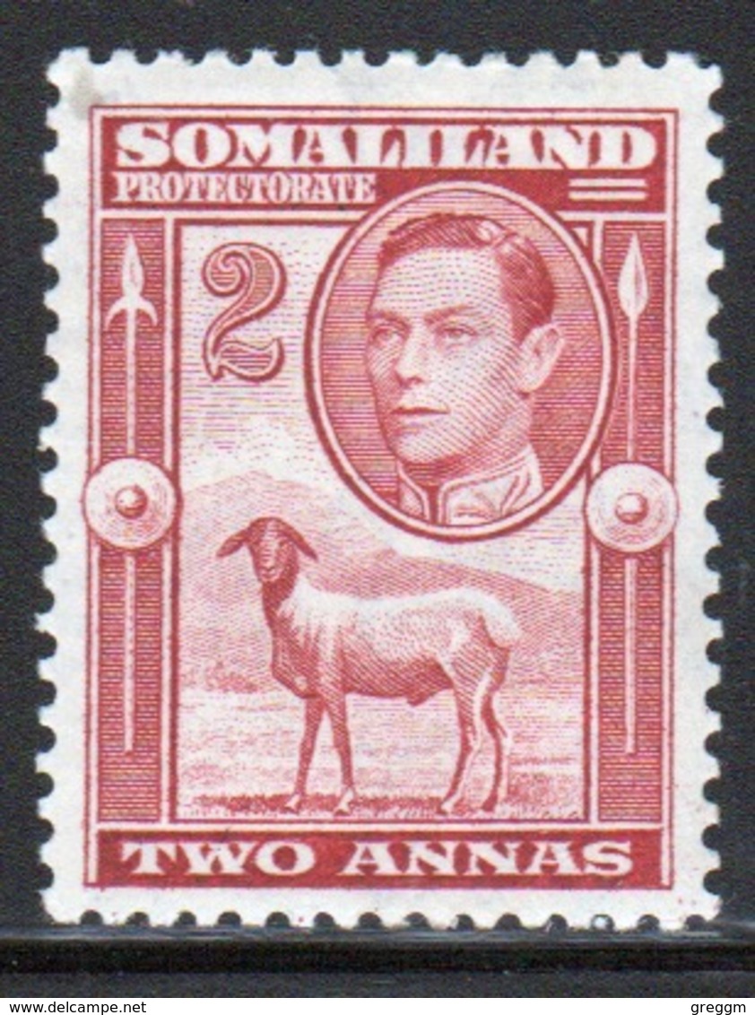 Somaliland Protectorate 1938 George VI Single Two Anna Maroon Stamp. - Somaliland (Protectorate ...-1959)