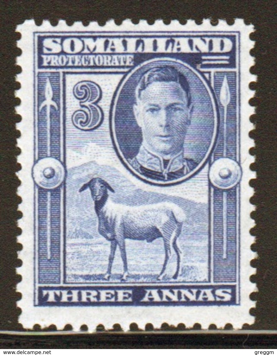 Somaliland Protectorate 1942 George VI Single Three Anna Blue Stamp. - Somaliland (Protectorate ...-1959)