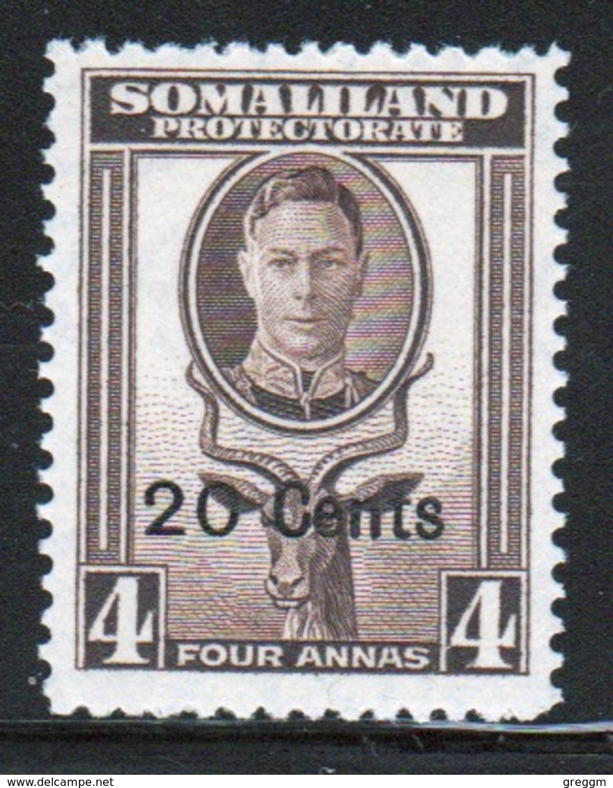 Somaliland Protectorate 1951 George VI Single Four Anna Sepia Stamp. - Somaliland (Protectorat ...-1959)