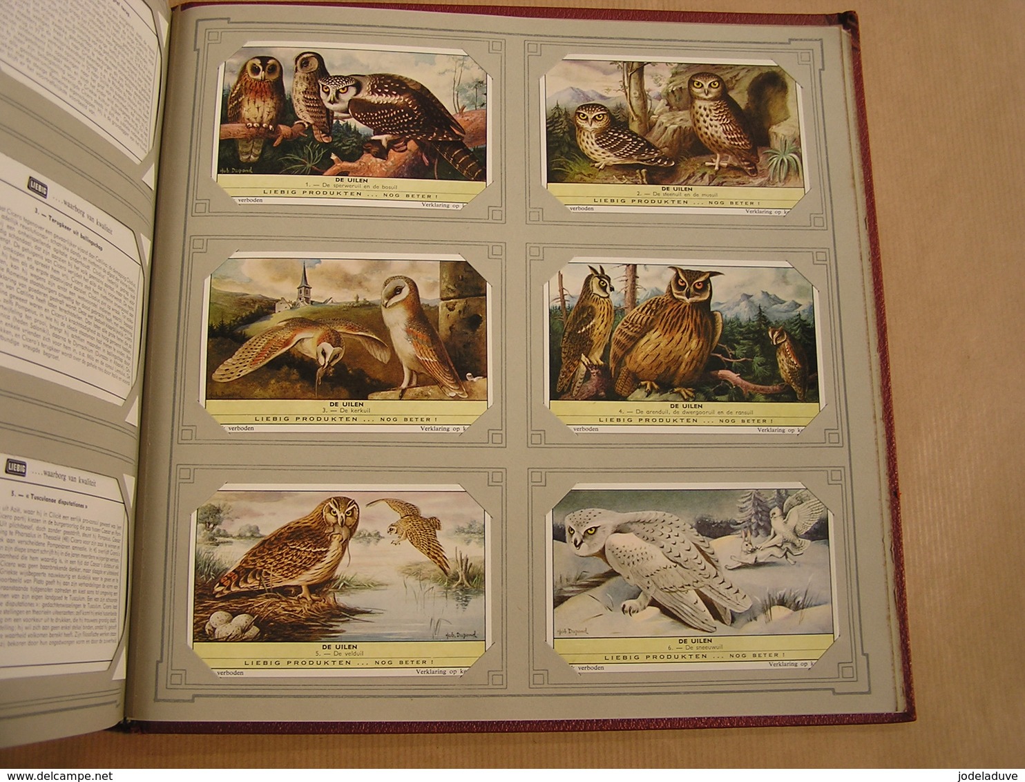 DE UILEN Chouettes Oiseaux   Liebig Série Reeks 6 Chromos Nederlandse Taal Trading Cards Chromo - Liebig