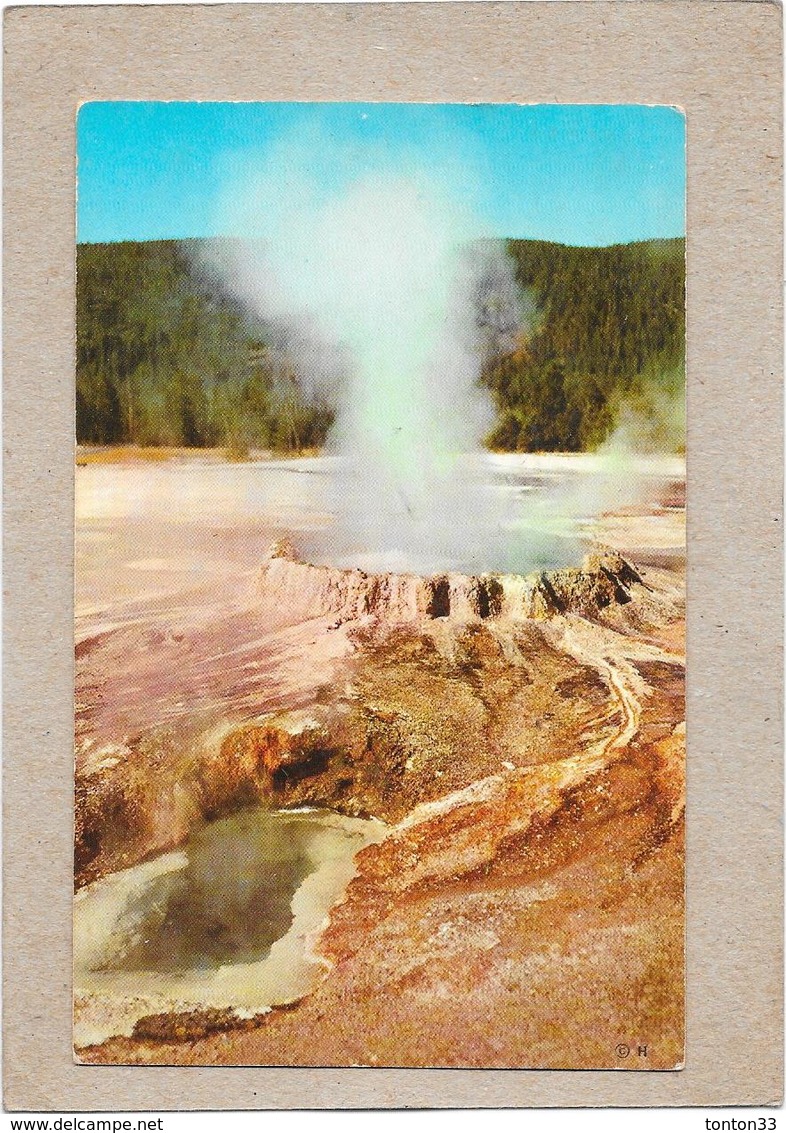 ETATS UNIS - YELLOWSTONE - Punchbowl Spring Upper Geyser - NANT** - - Yellowstone