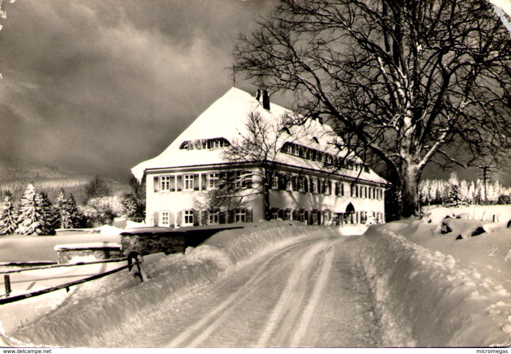 HINTERZARTEN / Schwarzwald - Hotel - Restaurant "Erlenbruck" - Hinterzarten