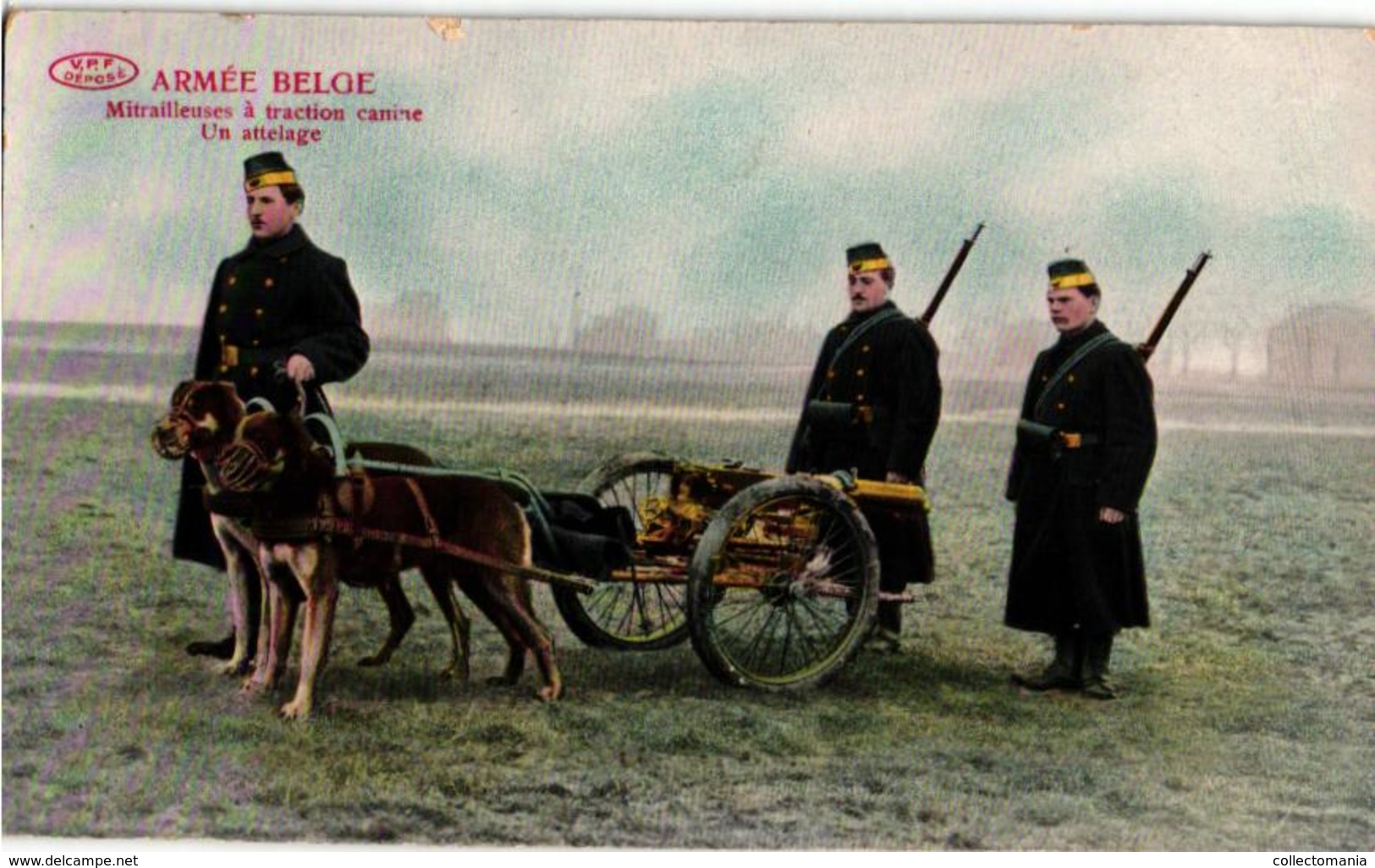PREAUX FRERES, S.D.  Hondenkar, Attelage De Chiens Flamand, Hund, Dog -  Mitrailleuse à Traction Canine - LATIER Latière - Weltkrieg 1914-18