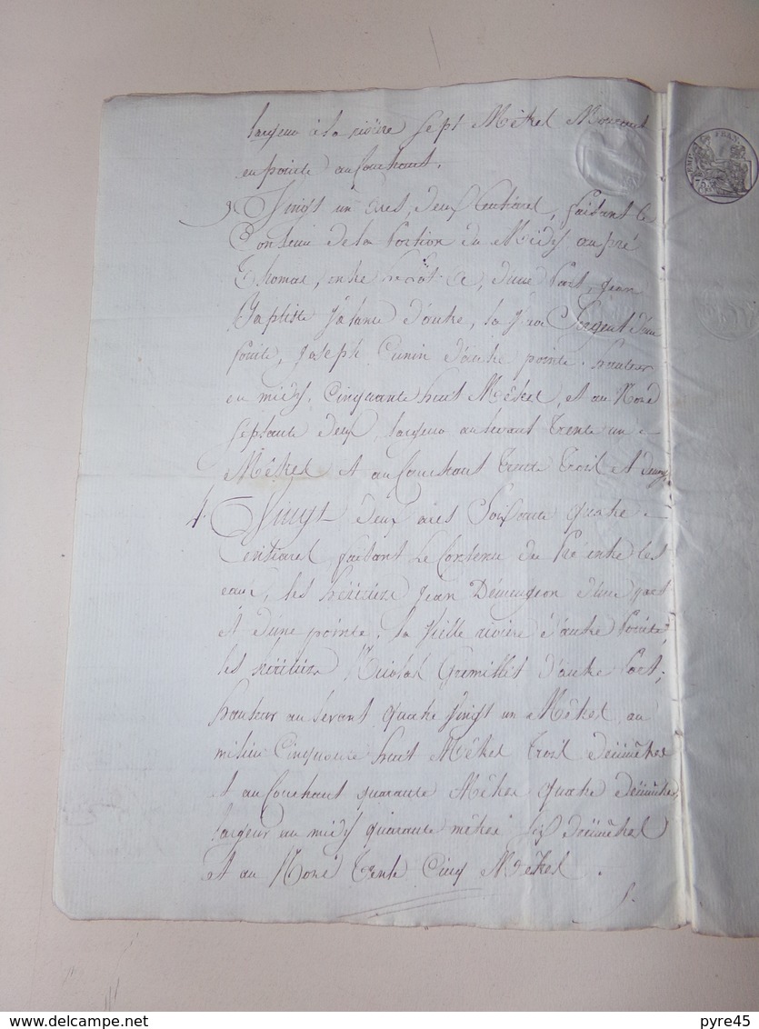 Acte Notarié Du 9 Octobre 1809 à Jussarupt , Vosges, Partage - Manuskripte