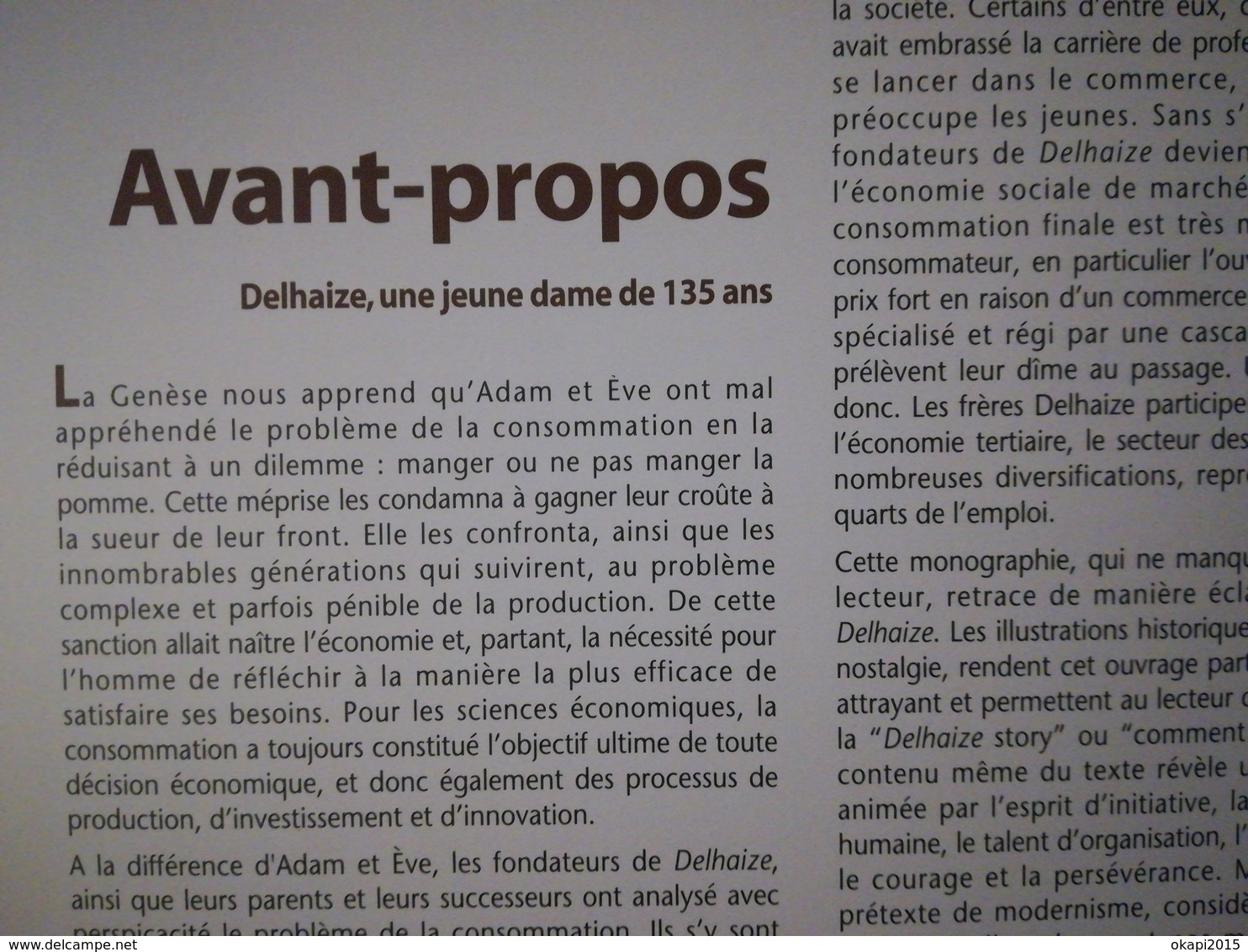 SUPERMARCHÉ DELHAIZE LE LION ÉPICIERS DEPUIS 1867 LIVRE HISTOIRE RÉGIONALISME BELGIQUE