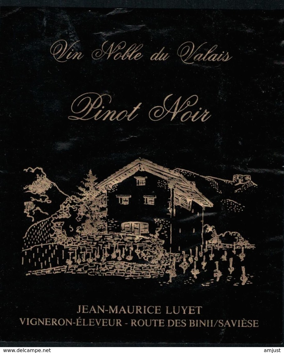 Etiquette De Vin // Pinot Noir Du Valais, Suisse - Autres & Non Classés