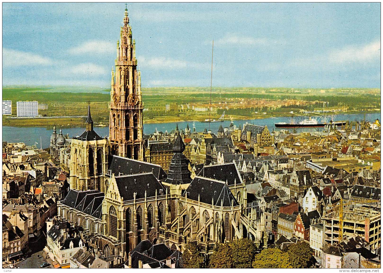 CPM - ANTWERPEN - Hoofdkerk En Schelde - Antwerpen