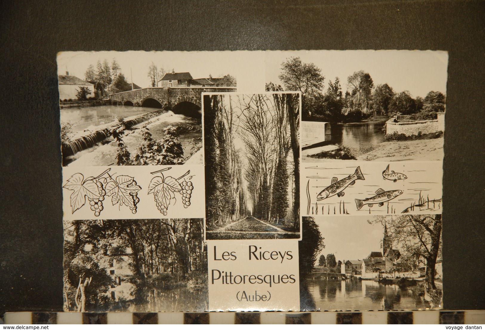 CP, 10,  Les Riceys Pittoresques , 1960 - Les Riceys