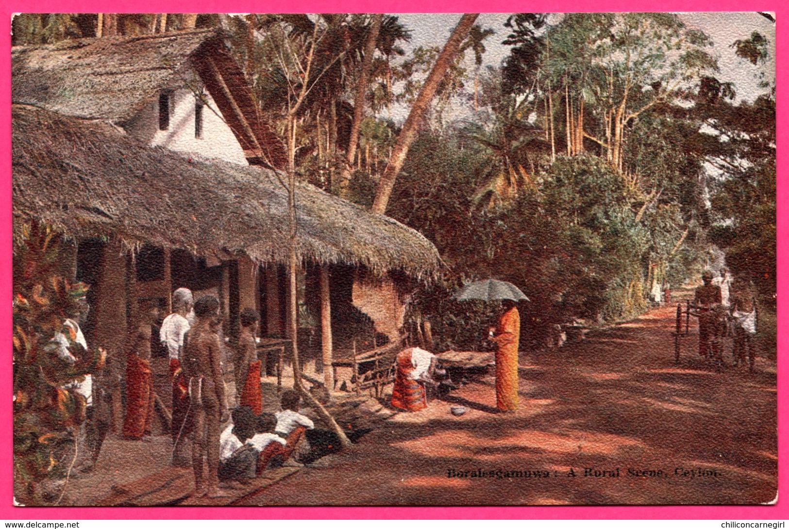 Ceylon - Boralesgamuwa - A Rural Scene - Bullock - Animée - PLATE Ltd N° 68 - Colorisée - Sri Lanka (Ceylon)
