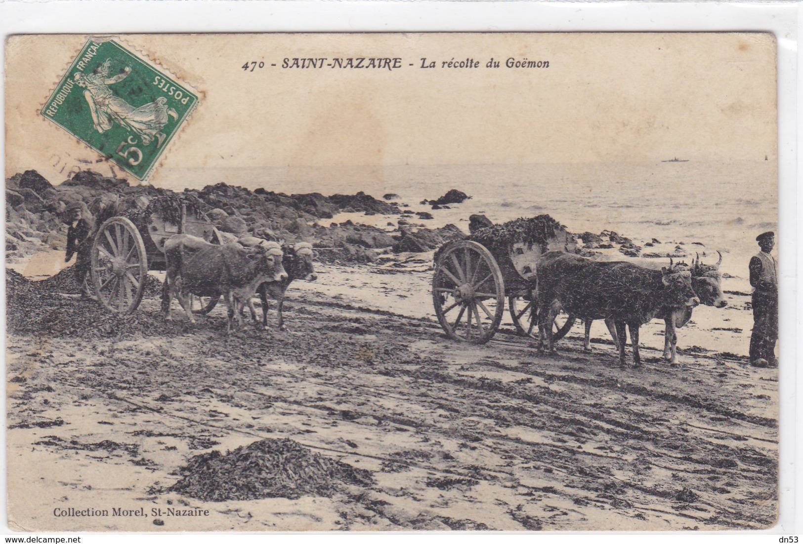 Loire-Atlantique - La Récolte Du Goëmon - Saint Nazaire