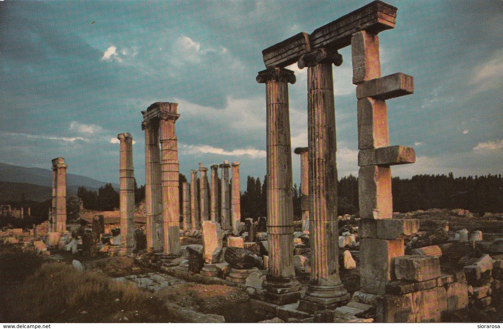 Turchia Turkey Afrodisia - Rovine Del Tempio Di Afrodite - Temple Of Aphfrodite - Monuments