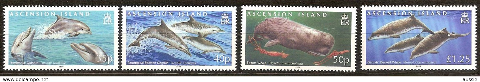 Ascension 2009  Yvertn° 966-969 *** MNH Cote 11,50 Euro Faune Marine Dauphins Dolfijnen - Ascension (Ile De L')