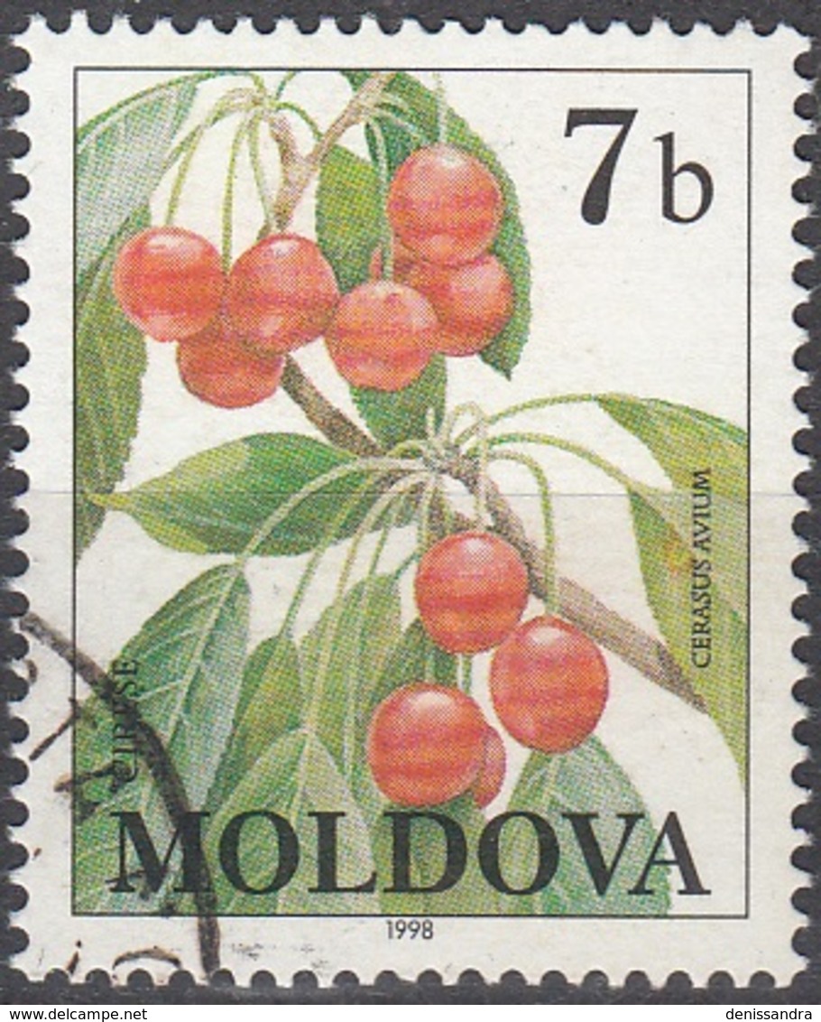 Moldova 1998 Michel 278 O Cote (2008) 0.20 Euro Le Merisier Cachet Rond - Moldavie