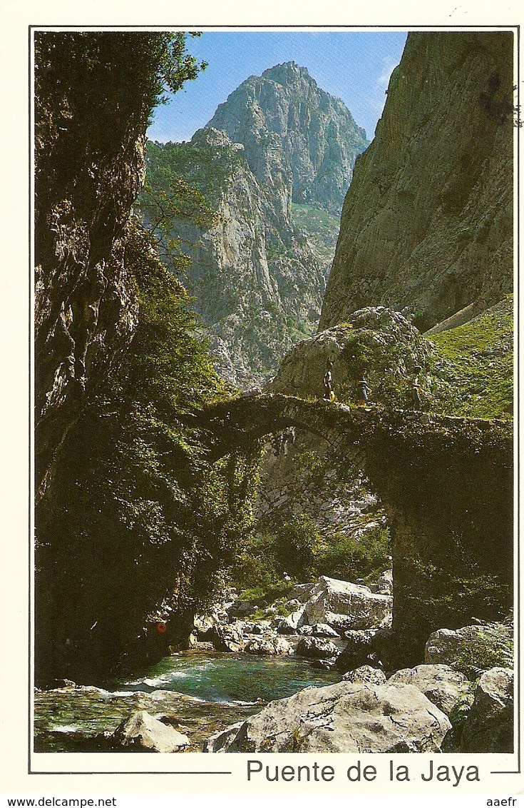 CP Espagne 1993? -  Picos De Europa, Puente De La Jaya - Cantabria - Cantabria (Santander)