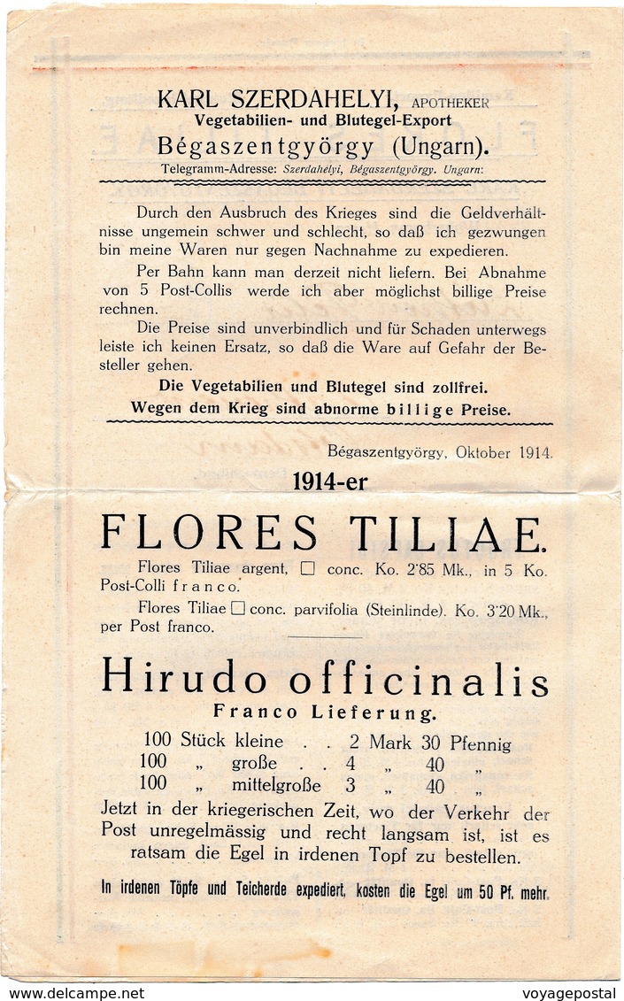 Document Perfin Flores Tiliae Magyar 3 Filler Begaszent Gyorgy Serbie Pour Postdam - Covers & Documents