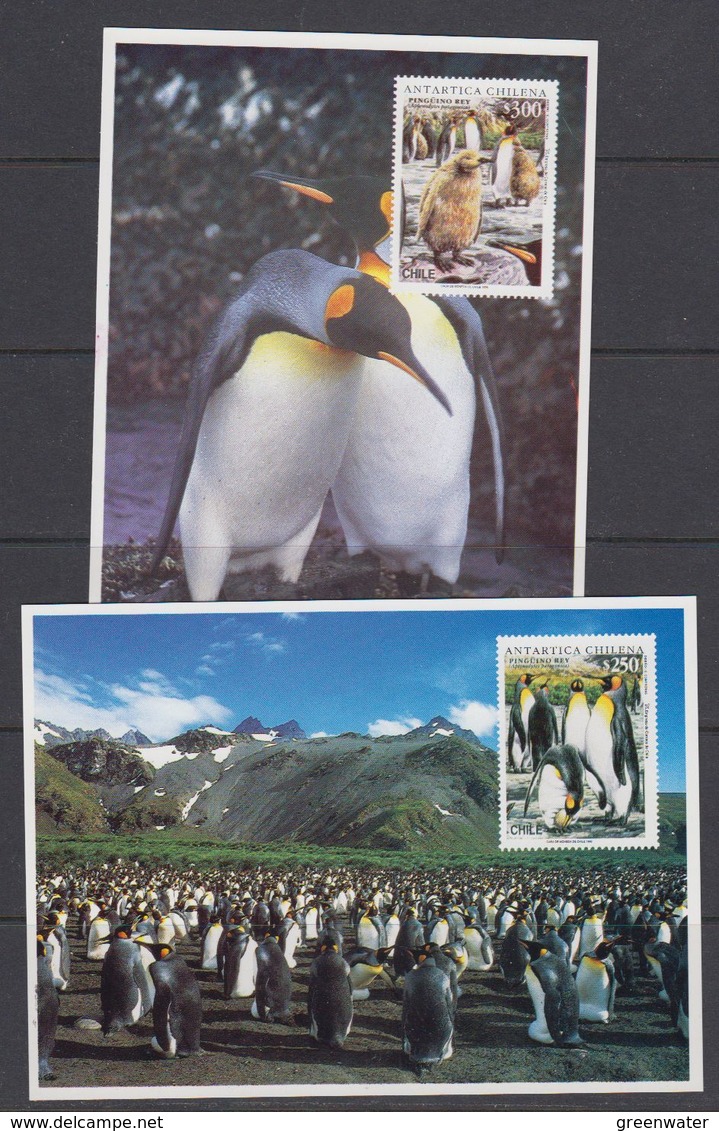 Chile 1996 Antarctica / Penguins  2 Postcards (with Reprint Of The Stamps) Unused (40105) - Andere & Zonder Classificatie