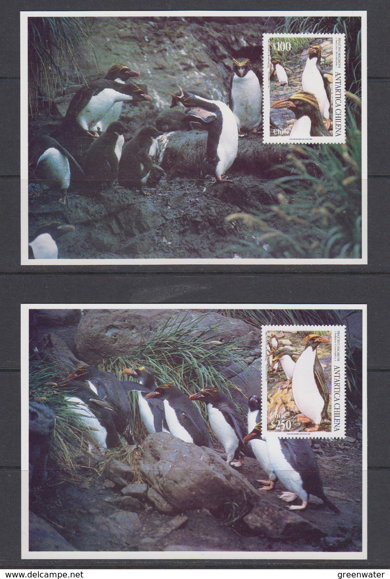 Chile 1995 Antarctica / Penguins  2 Postcards (with Reprint Of The Stamps) Unused (40106) - Andere & Zonder Classificatie