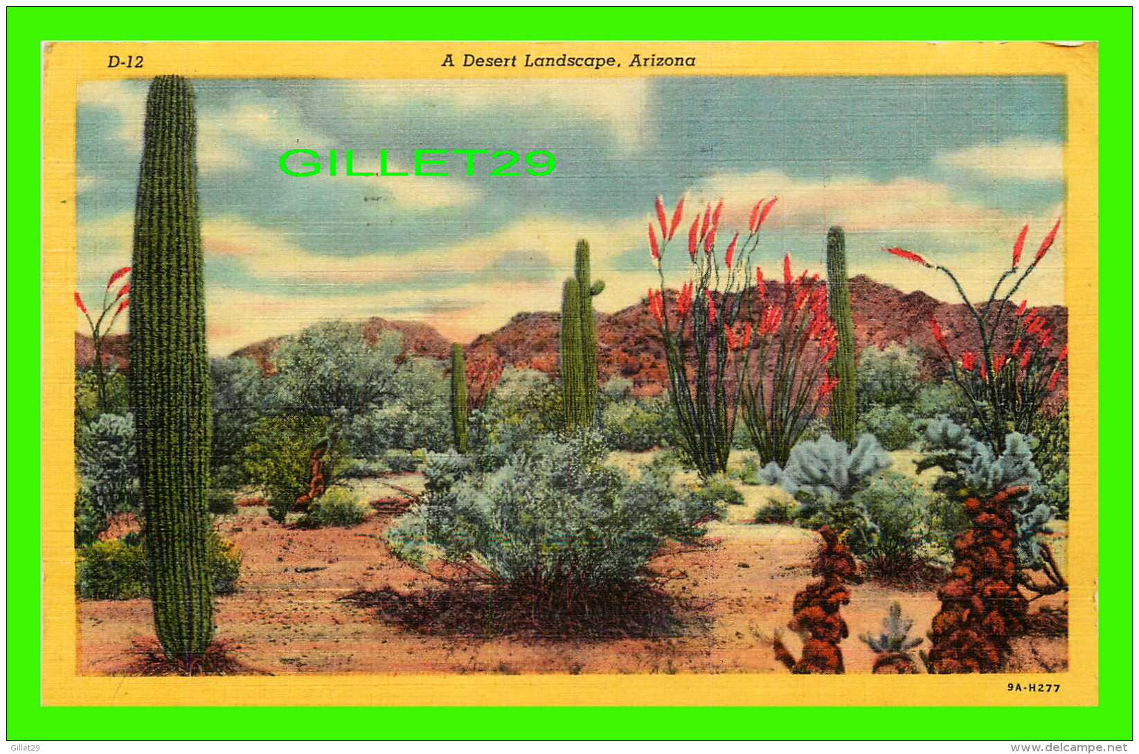 FLEUR, CACTUS - A DESERT LANDSCAPE, ARIZONA -  TRAVEL IN 1953 -  LOLLESGARD SPECIALTY CO - - Cactus