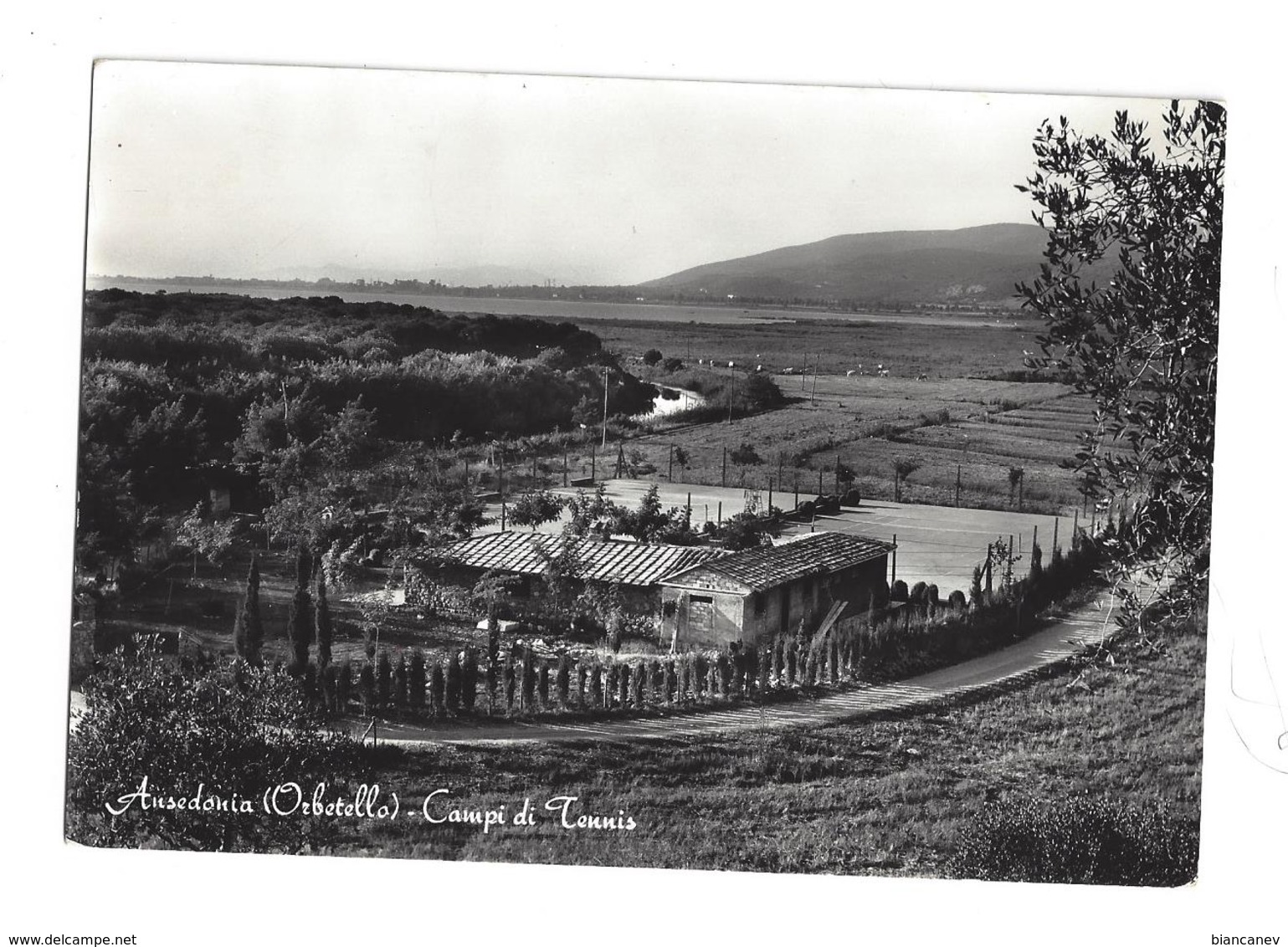 CARTOLINA DI ANSEDONIA - ORBETELLO - GROSSETO - 1 - Grosseto