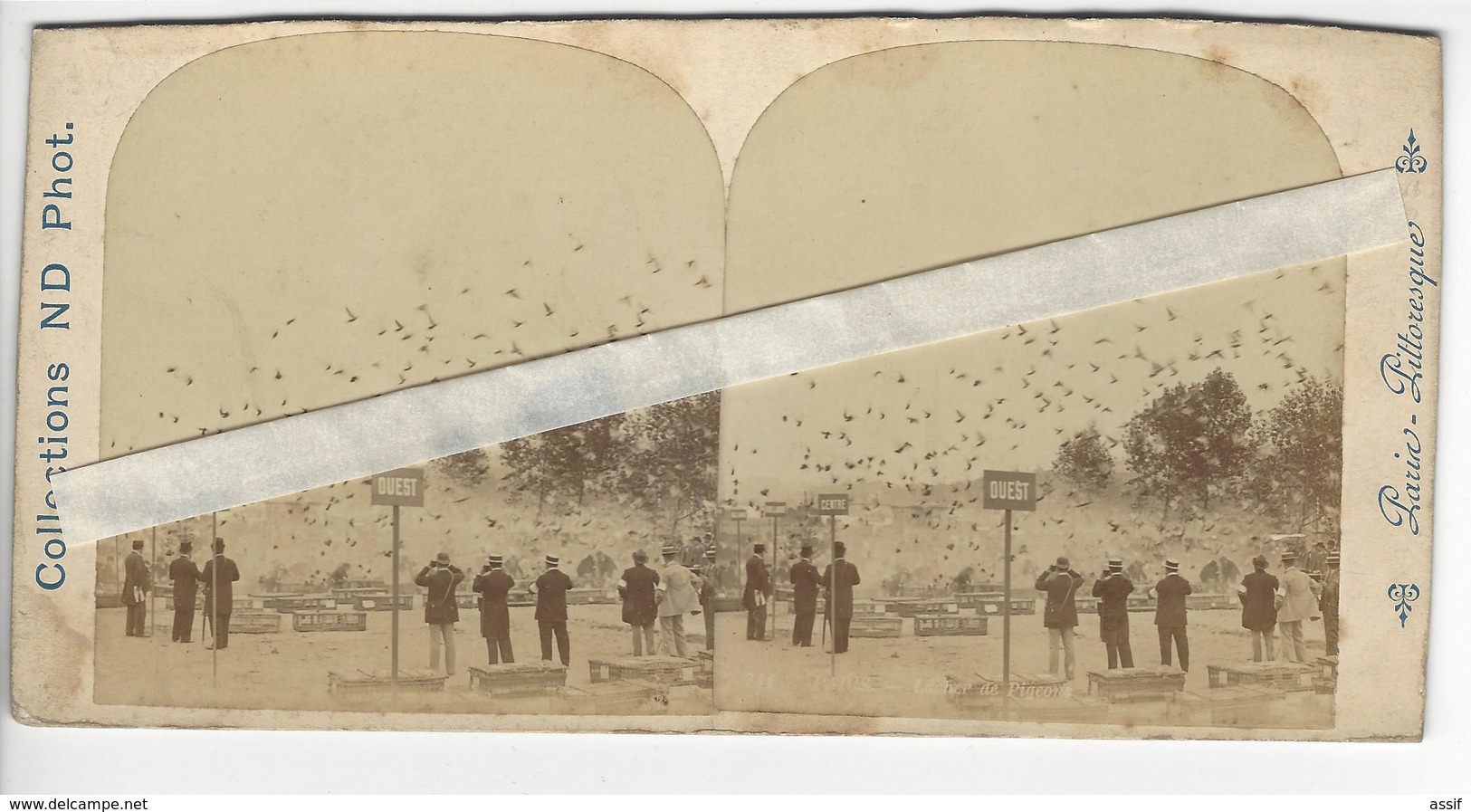 PHOTO STEREO Circa 1890 PARIS LACHER DE PIGEONS /FREE SHIPPING REGISTERED - Stereoscopic