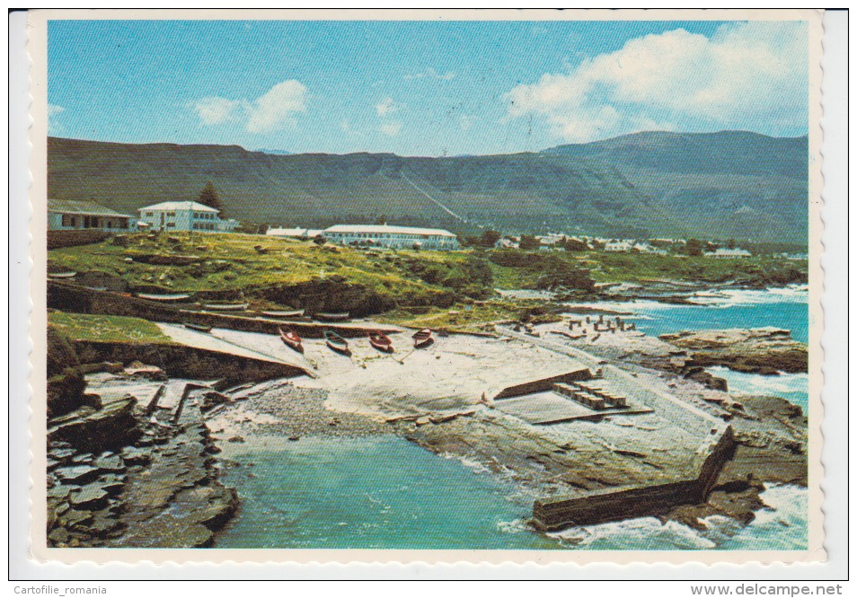 Hermanus Cape South Africa Uncirculated Postcard (ask For Verso / Demander Le Verso) - South Africa