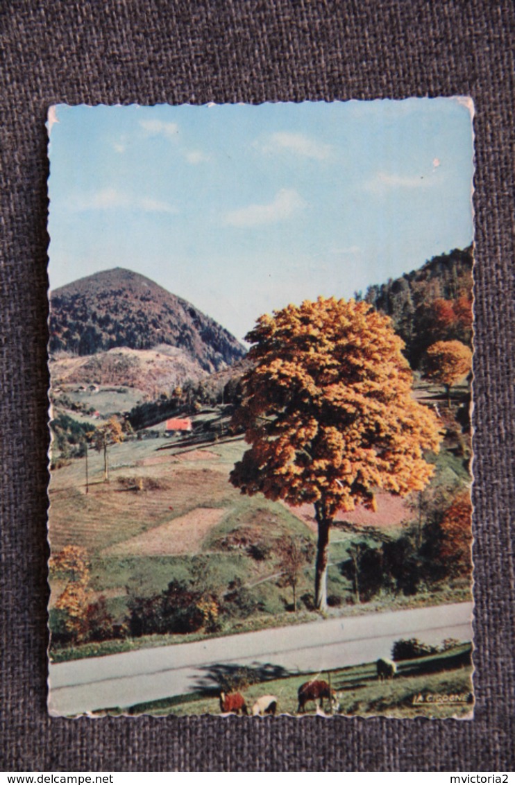 Pâturages Au Col De BUSSANG - Verso : Flamme " Cuirs Et Peausseries - LE THILLOT ". - Le Thillot