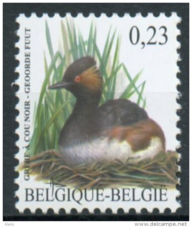 BE   3546   XX   ---   Oiseau Buzin  ::  Grèbe à Cou Noir - Unused Stamps