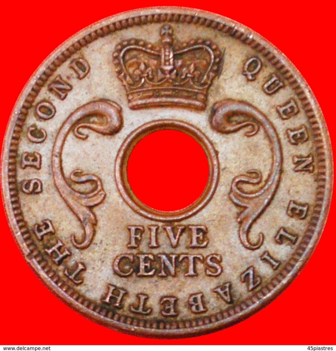 # GREAT BRITAIN: EAST AFRICA ★ 5 CENTS 1963! LOW START ★ NO RESERVE! - British Colony