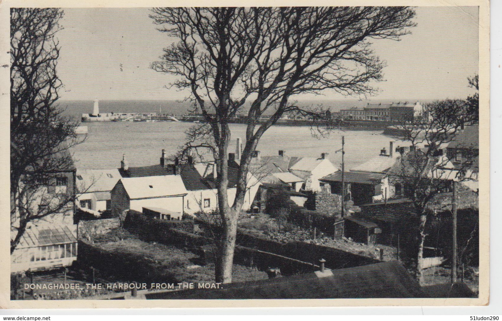 CPSM Donaghadee - The Harbour From The Moat - Down