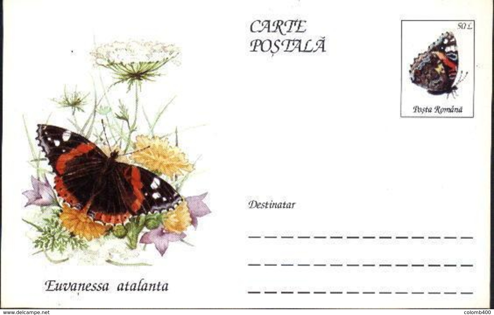 Papillon - EUVANESSA ATALANTA   Entier Postal ( Carte Postale). RARE  Roumanie / Romania 1995 - Papillons