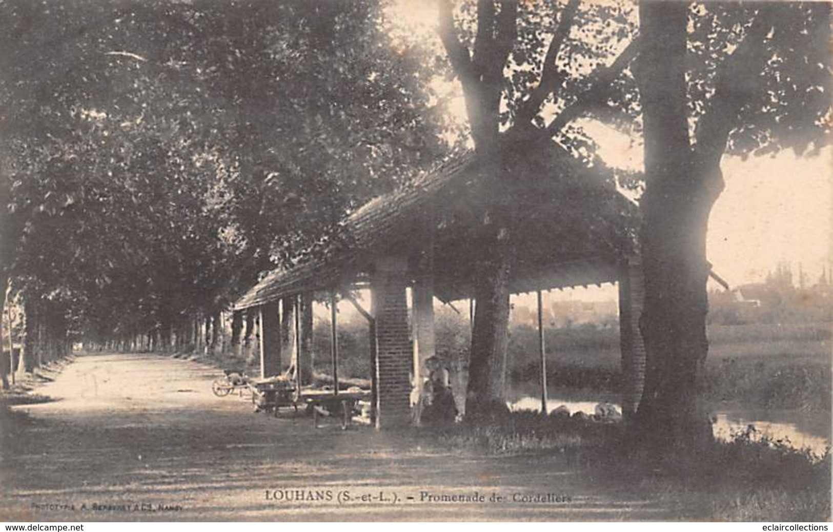 Louhans       71     Promenade Des Cordeliers      (voir Scan) - Louhans