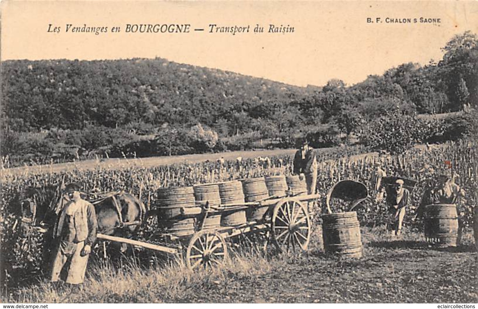 Non Localisé          71      Les Vendanges En Bourgogne. Transport Du Raisin           (voir Scan) - Autres & Non Classés