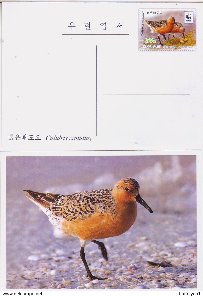 North Korea 2015 WWF Red Knot Postal Pre-stamped Card - Briefe U. Dokumente