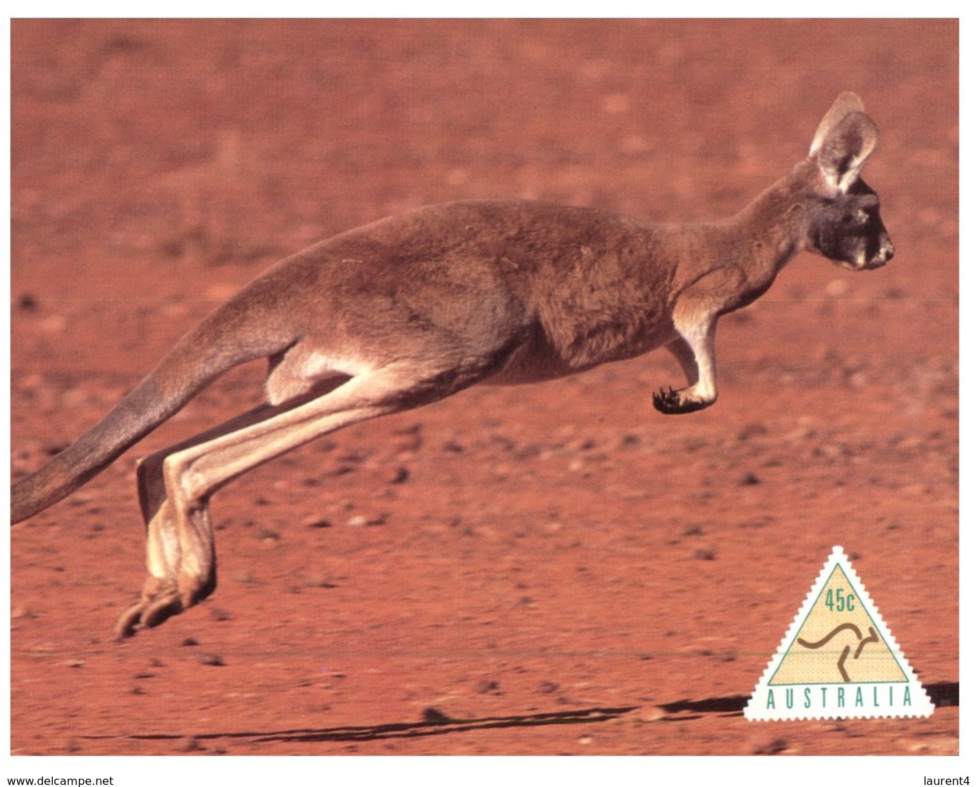 (200) Australia - Kangaroo Maxicard - Outback