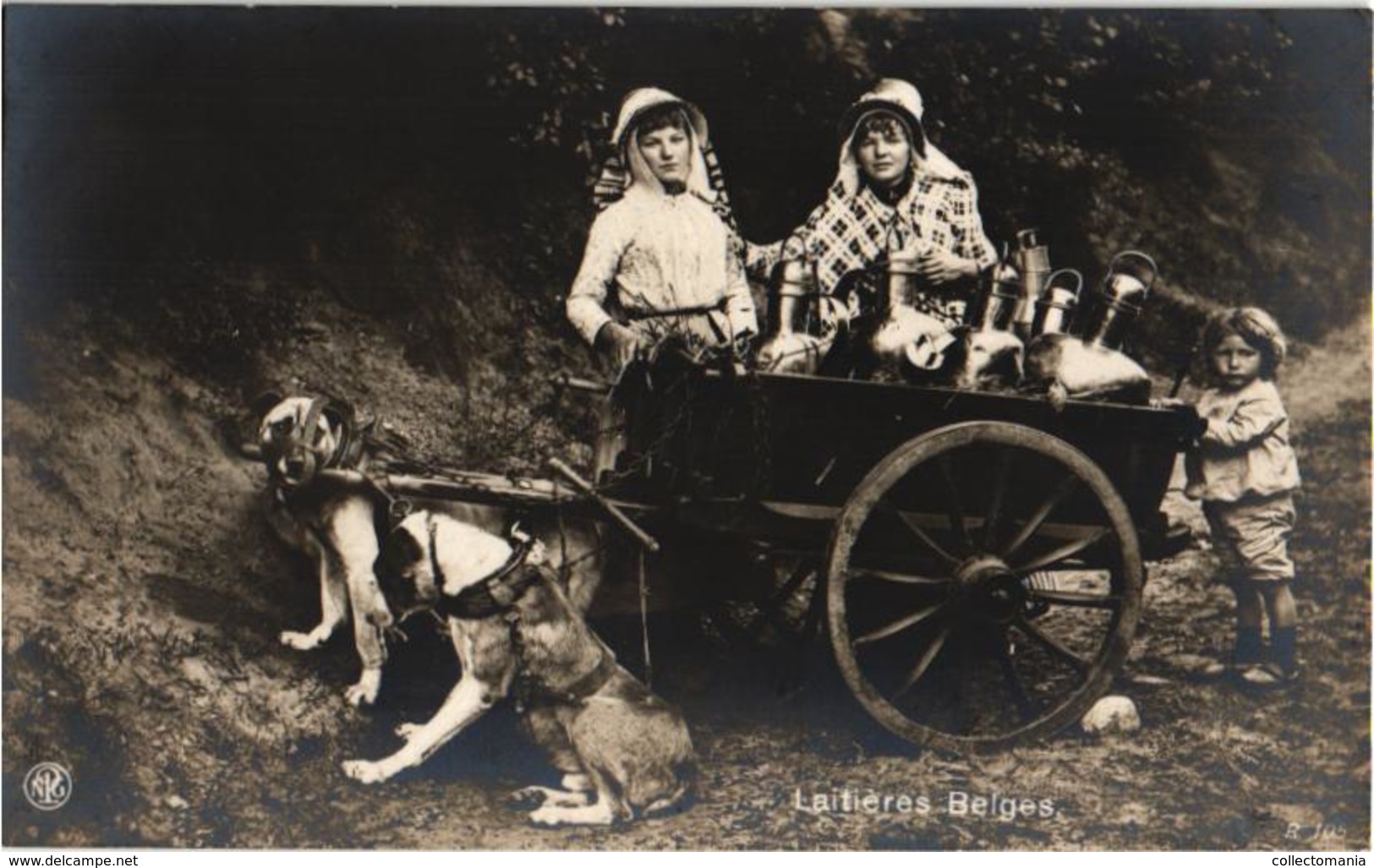 1 Fotokaart  C1910 éd NPG  Hondenkar ( Attelage De Chiens Flamand, Hund, Dog) LAITIERES Belges 2 TREKHONDEN Perfect - Dogs