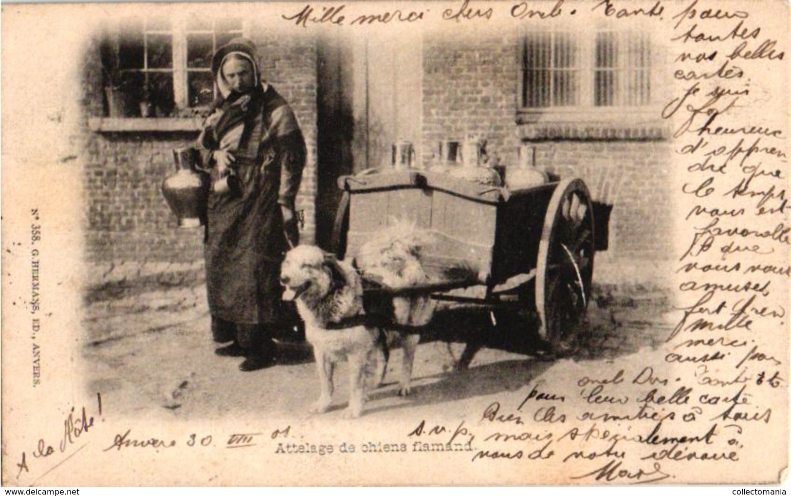 ANVERS 1 CPA  C1901 - 1e éd Hermans 358 Hondenkar Attelage De Chiens Flamand, Hund, Dog LA LAITIERE Flamande TREKHOND - Street Merchants