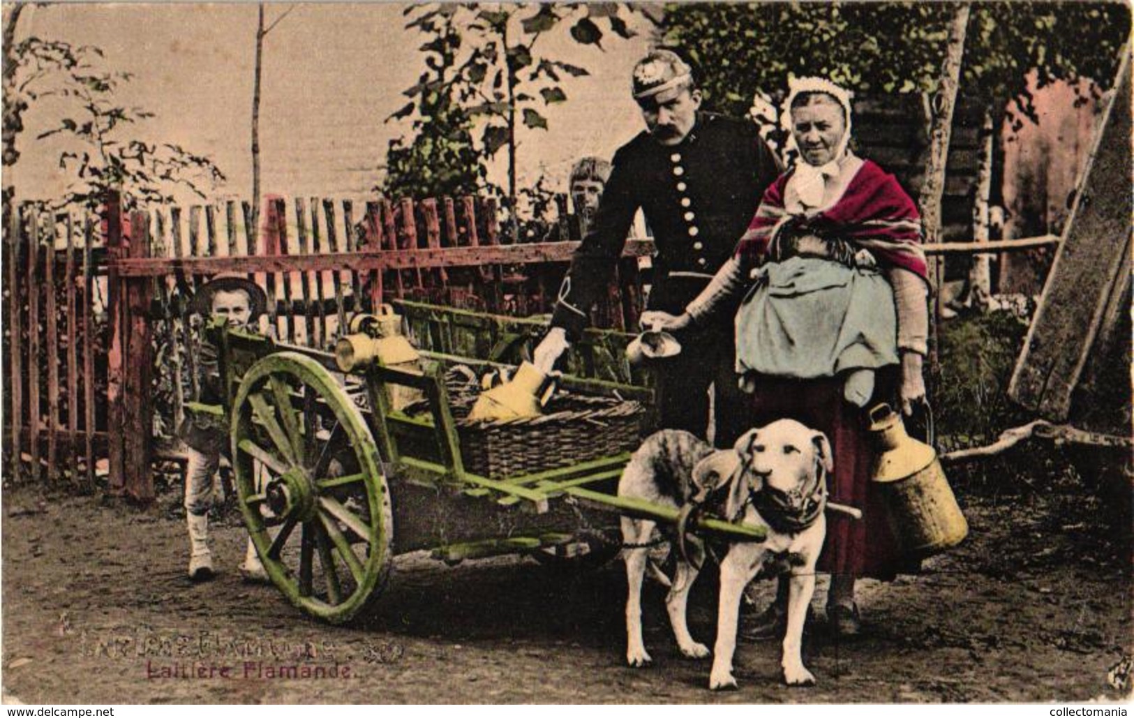 Pinhelm Duitser 1 CPA  C1916 - Hondenkar Attelage De Chiens Flamand, Hund, Dog LA LAITIERE Flamande TREKHOND FELDPosT - Street Merchants