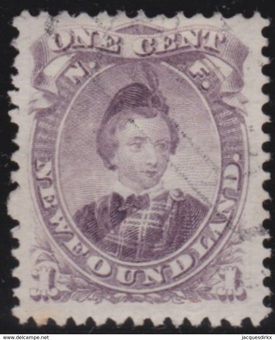 Newfoundland  .    SG   .     35         .       O      .  Gebruikt      .    /   .   Cancelled - 1865-1902