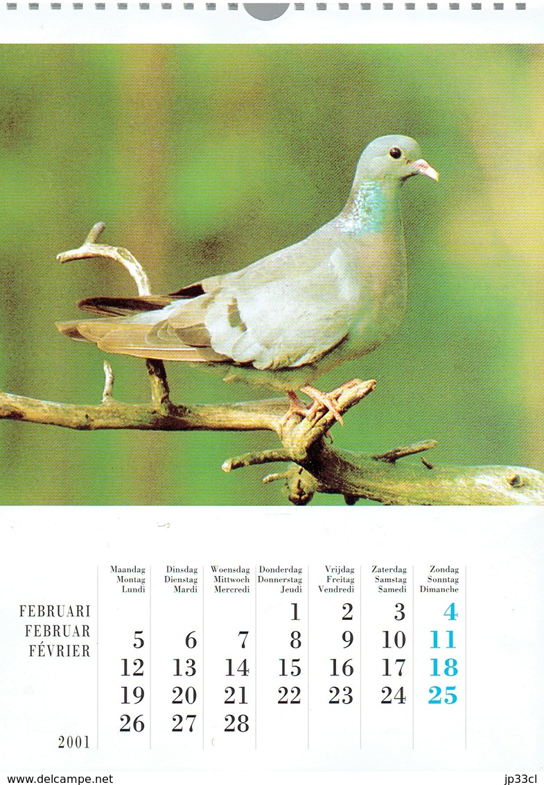 Pigeons Duiven Fédération Colombophile Belge Belgische Duivenliefhebbersbond Calendrier 2001 - Big : 2001-...