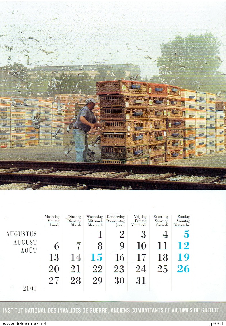 Pigeons Duiven Fédération Colombophile Belge Belgische Duivenliefhebbersbond Calendrier 2001 - Grand Format : 2001-...