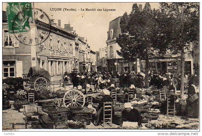 85 LUCON Le Marché Aux Légumes (TOP) - Lucon