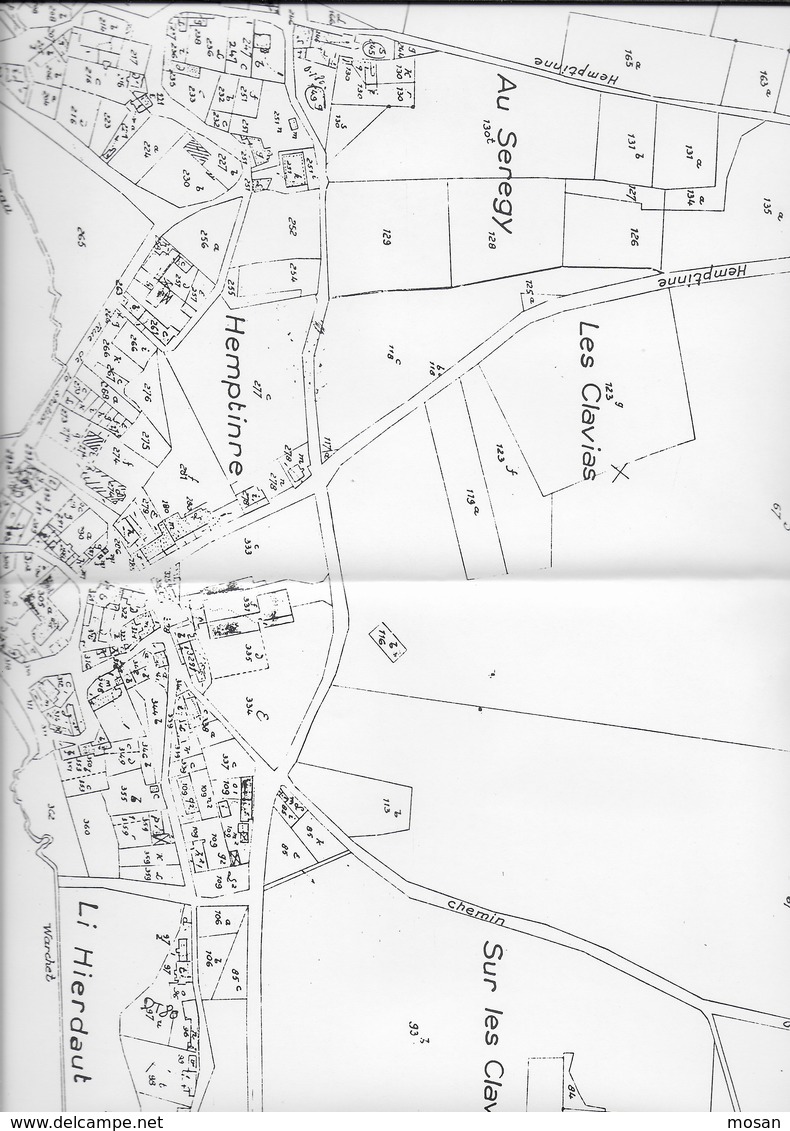 Région Wallonne. Urbanisme. Condroz Occidental. Hemptinne Commune De Hamois. Typologie De L'habitat. Wallonie. - Belgique