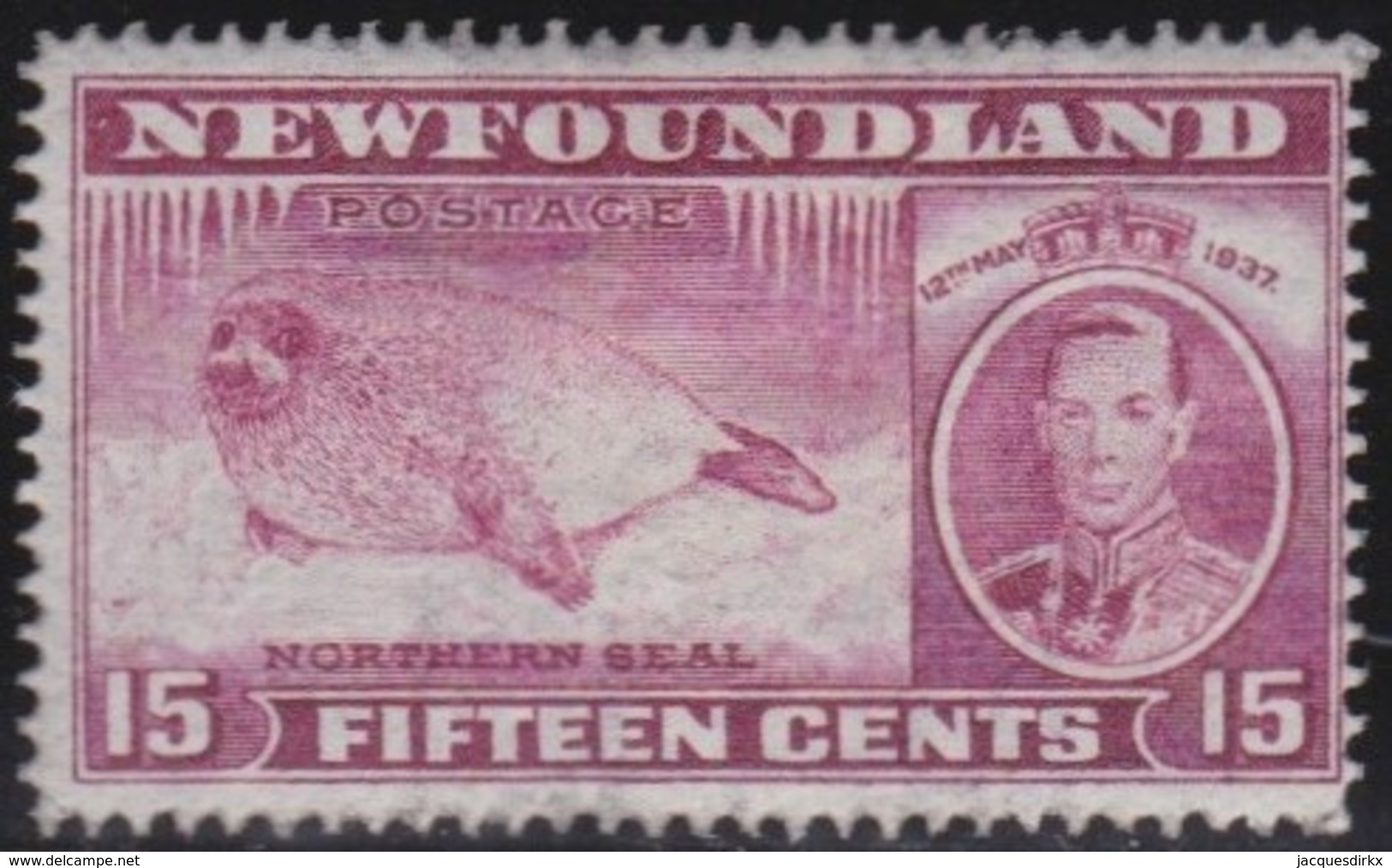 Newfoundlans    .    SG   .      263c      .     *       .     Ongebruikt    .    /      .     Mint-hinged - 1908-1947