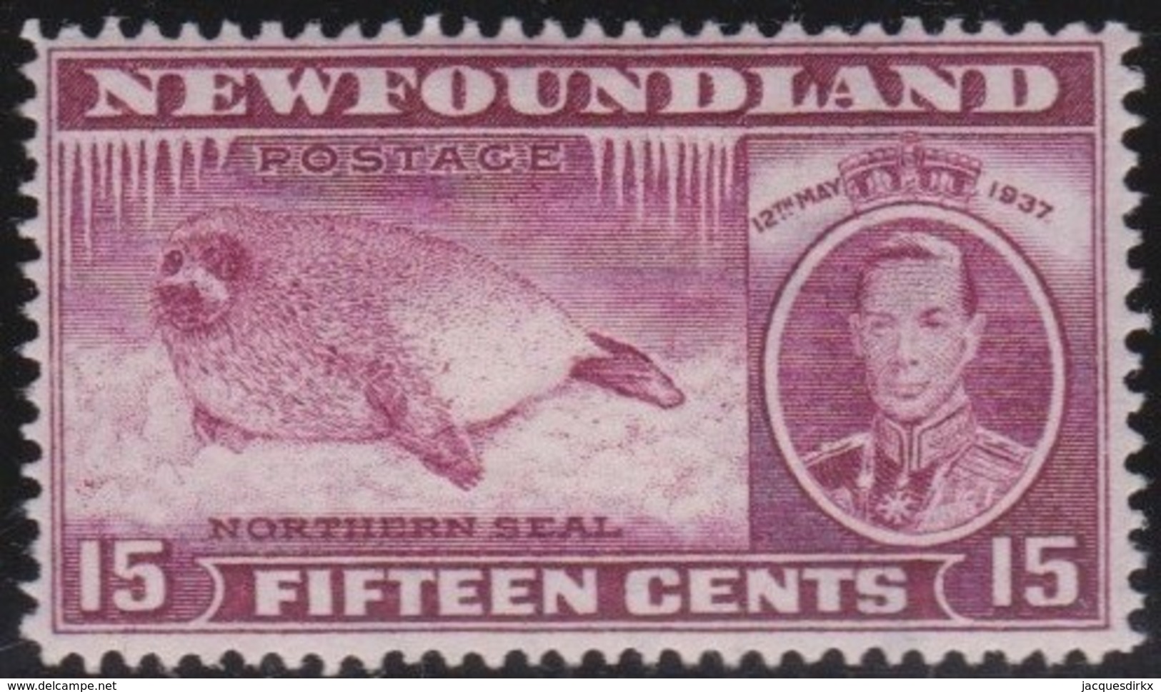 Newfoundlans    .    SG   .      263c      .     *       .     Ongebruikt    .    /      .     Mint-hinged - 1908-1947