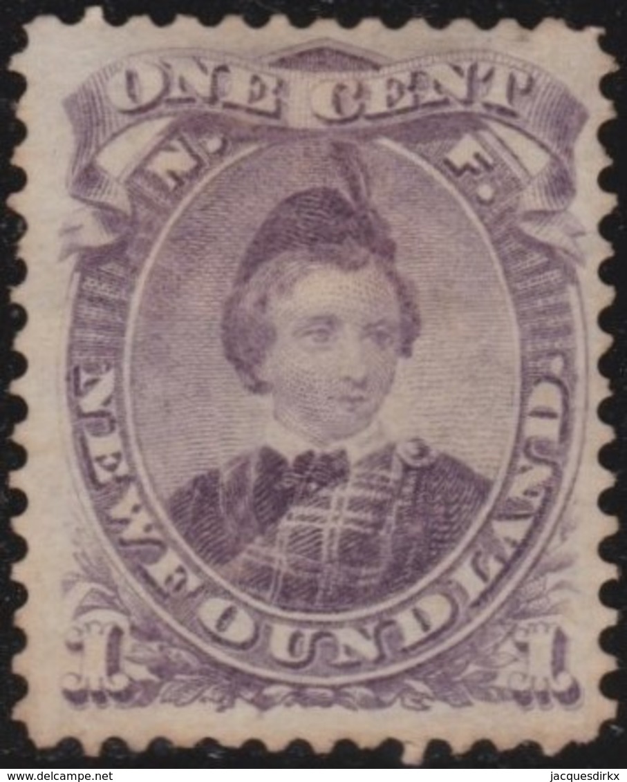 Newfoundlans    .    SG   .       35       .      (*)         .     Geen  Gom   .    /      .     No Gum - 1865-1902