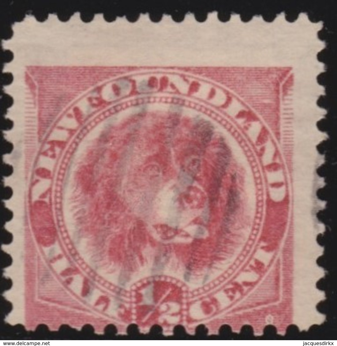 Newfoundlans    .    SG   .    49      .     O      .     Gebruikt   .    /      .        Cancelled - 1865-1902