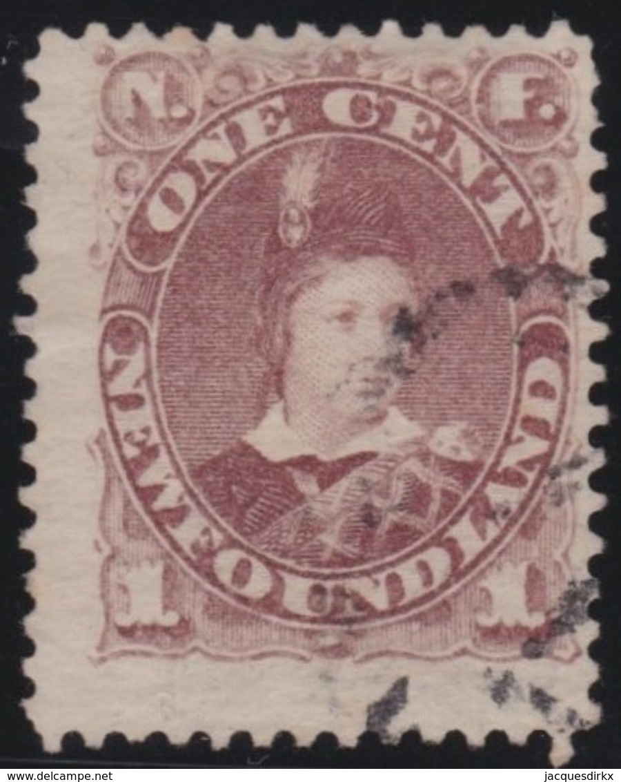 Newfoundlans    .    SG   .    44       .     O      .     Gebruikt   .    /      .        Cancelled - 1865-1902