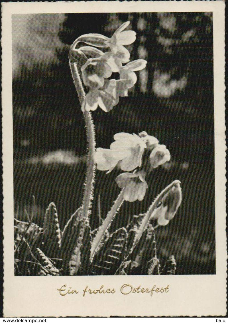 Berlin 1966 Michel 273 Auf Karte "Ein Frohes Osterfest". Blumen. 1969 Nach Düsseldorf. 2 Scans - Briefe U. Dokumente