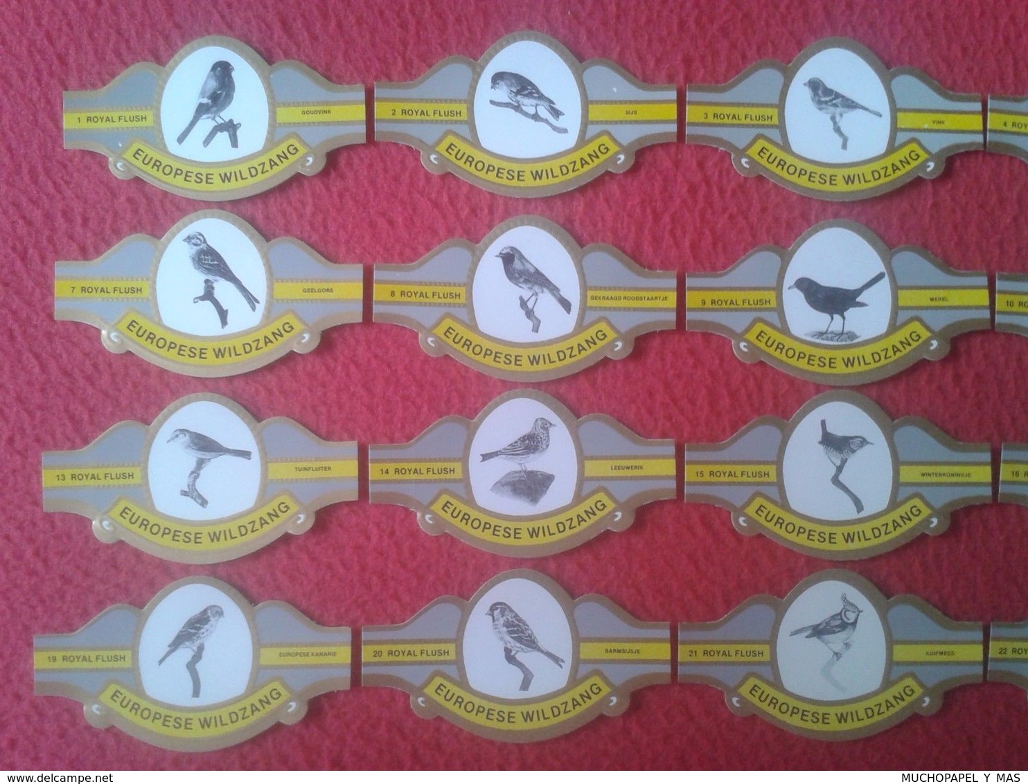 SERIE COMPLETA DE 24 VITOLAS CIGAR BANDS ROYAL FLUSH EUROPESE WILDZANG BIRDS PÁJAROS BIRD PÁJARO OISEAU VER FOTO/S Y DES - Vitolas (Anillas De Puros)