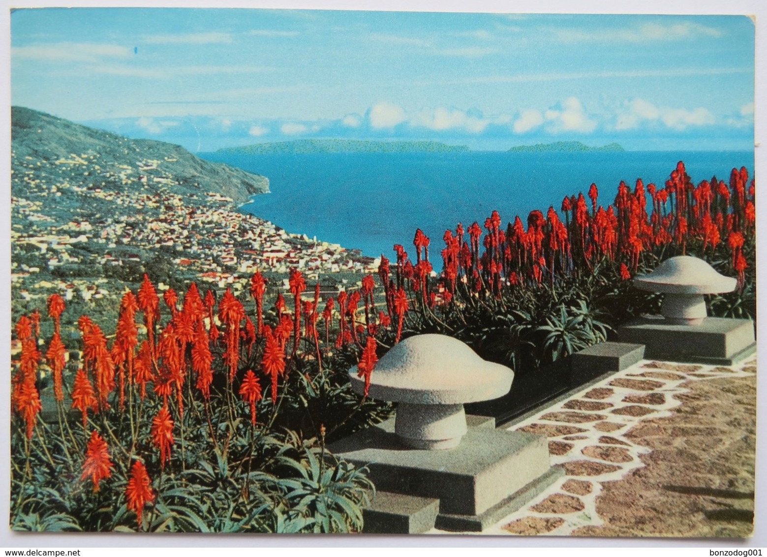 Pico Dos Barcelos, Funchal, Madeira - Madeira